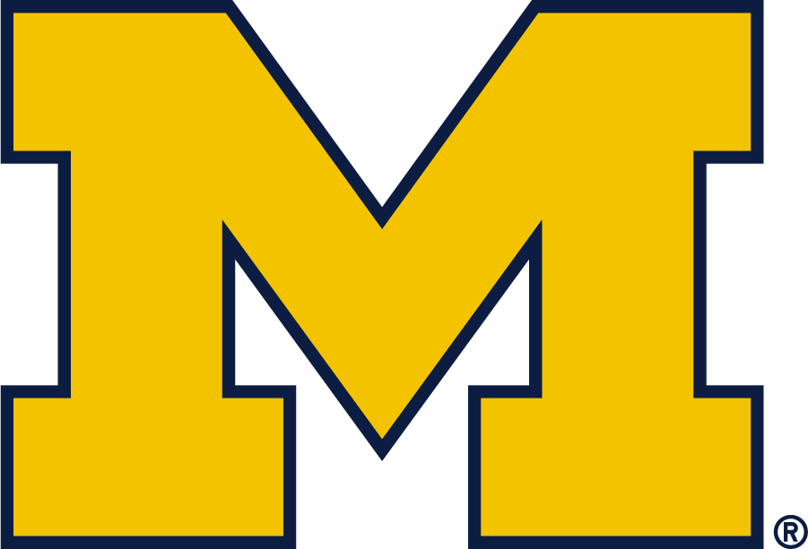 Michigan Wolverines 2016-Pres Alternate Logo iron on transfers for T-shirts